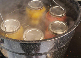 Stop Food Waste Challenge - Storage